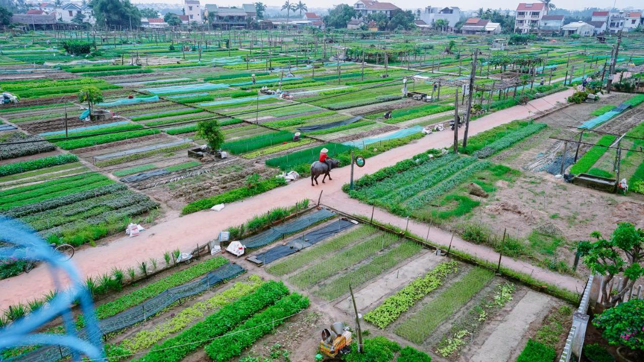 Tra Que Green Villa Hội An Ngoại thất bức ảnh